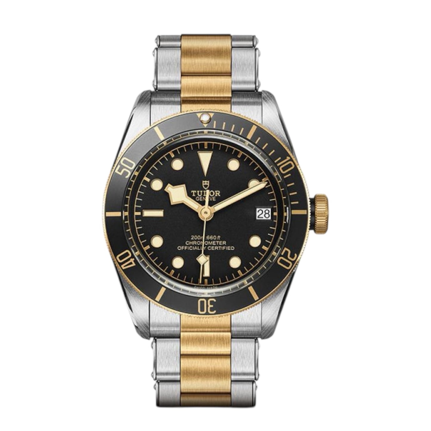 Tudor Black Bay Two Tone Black Dial 41mm